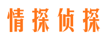 锦江侦探公司